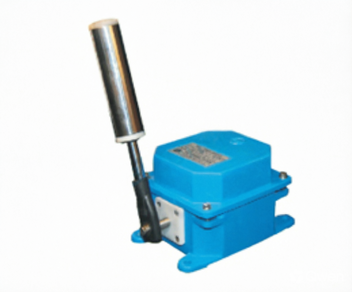 Belt sway switch