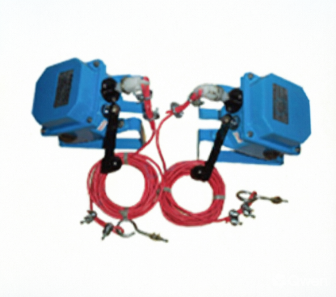 Belt tear switches